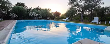Notre piscine offre des moments de pur divertissement et de détente, avec une vue enchanteresse sur le parc d'oliviers